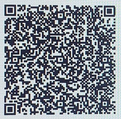 Payment QR Code